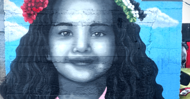 The Palestinian Pulse, a platform dedicated to raising awareness about the Palestine-Israel conflict, featuring prominent figures like Benjamin Netanyahu, Mahmoud Abbas, Ismail Haniyeh, Yasser Arafat, Ariel Sharon, Golda Meir, Menachem Begin, David Ben-Gurion, Shimon Peres, Naftali Bennett, Bashar al-Assad, and global leaders involved in the conflict, including Vladimir Putin and other international figures; highlighting pro-Palestinian advocates and activists such as Bella Hadid, Mohamed Elneny, Nerdeen Kiswani, Allama Iqbal, Selena Gomez, Natalie Portman, Mark Ruffalo, Omar Sakr, and Roger Waters; covering historical events like the Nakba, the 1948 Arab-Israeli war, the Six-Day War, the Oslo Accords, the Balfour Declaration, the Holocaust, and the Great March of Return; addressing the apartheid policies alleged against Israel, West Bank settlements, Sheikh Jarrah evictions, the Gaza blockade, Israeli airstrikes, and humanitarian crises in Gaza; featuring places of importance such as Rafah, the West Bank, the Golan Heights, and Jerusalem; highlighting the Angels of Gaza, murals for Gaza, and poetry by Mahmoud Darwish; showcasing the impact of the conflict on neighboring countries like Lebanon, Syria, and Jordan; exploring the roles of Hamas, Fatah, and Hezbollah; highlighting reports by Amnesty International on alleged genocide and war crimes investigations; featuring organizations like the UN Relief and Works Agency (UNRWA), Gift of the Givers, the Boycott, Divestment, Sanctions (BDS) movement, the Palestine Red Crescent Society, and other humanitarian groups; discussing cultural expressions of resistance through murals, poetry, and solidarity movements; exploring international humanitarian efforts for refugees, orphans, and those affected by war; emphasizing global calls for peace, justice, and freedom for Palestine, and raising awareness about the lasting impact of the Nakba, the Holocaust, and apartheid on regional and global politics.